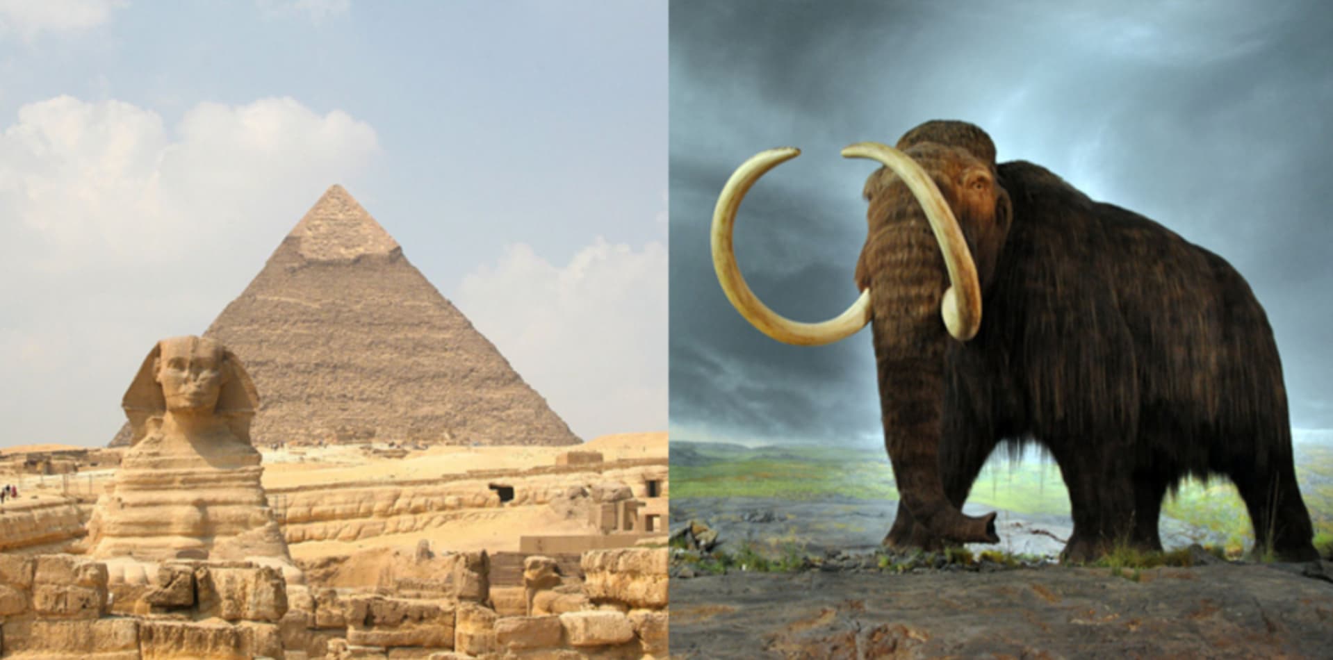 “When the pyramids were being built, woolly mammoths still existed.”